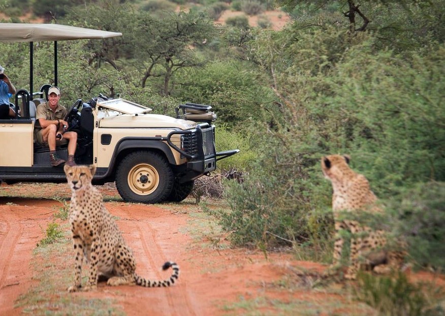 Tswalu Loapi Tented Camp thumbnail 7